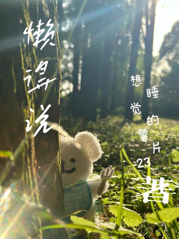 懒得说话是什么短语类型