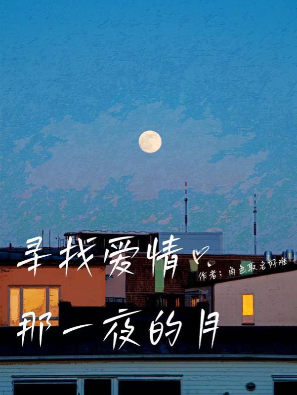 寻找爱情的下落免费